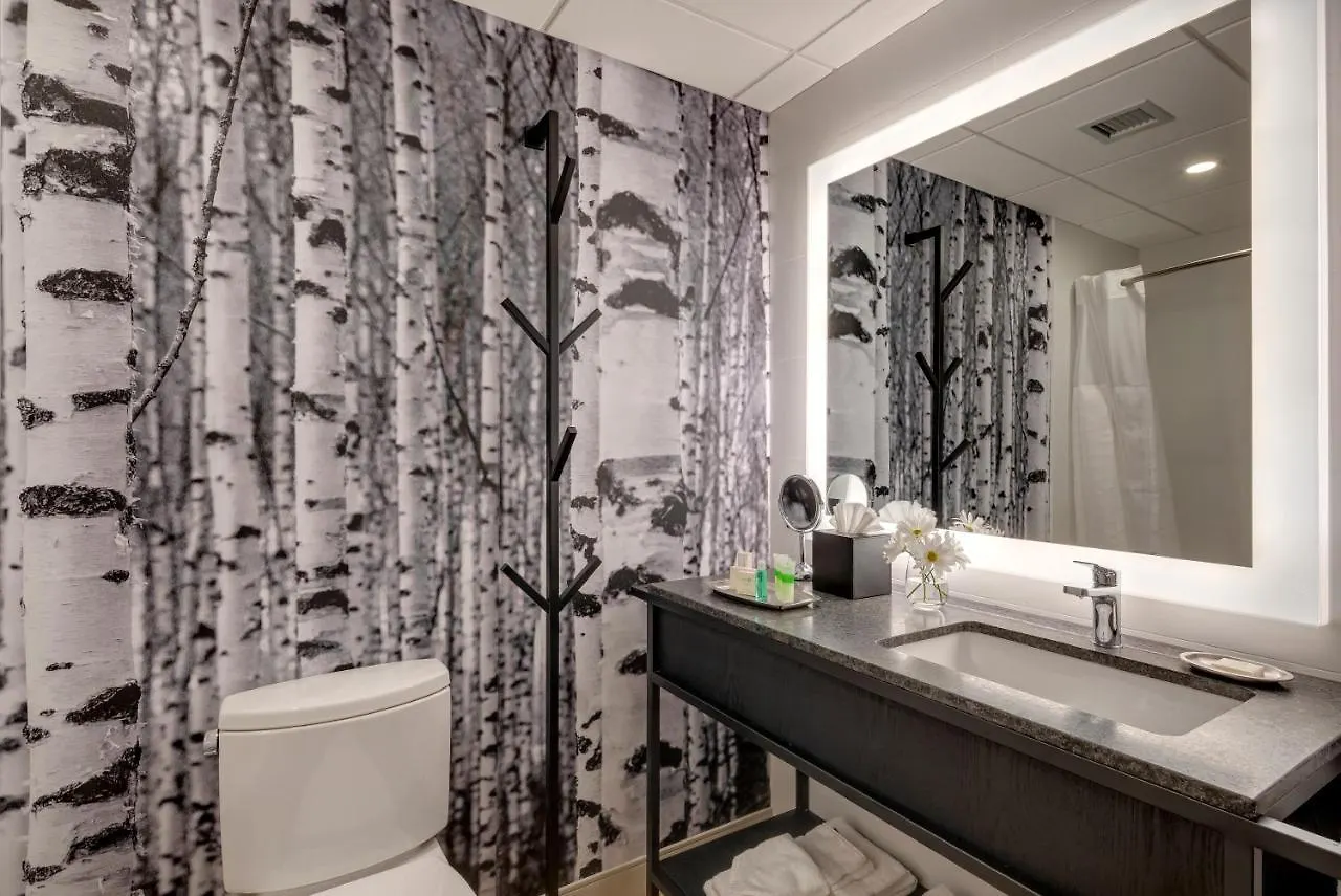 Peaks Hotel And Suites Banff