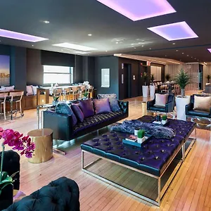 The Holland By Simplissimmo Montreal