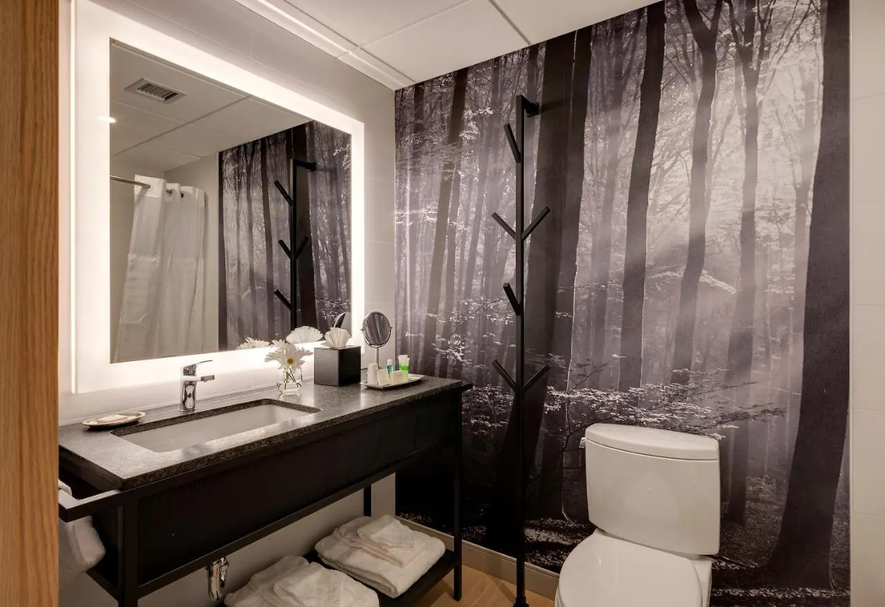 Peaks Hotel And Suites Banff